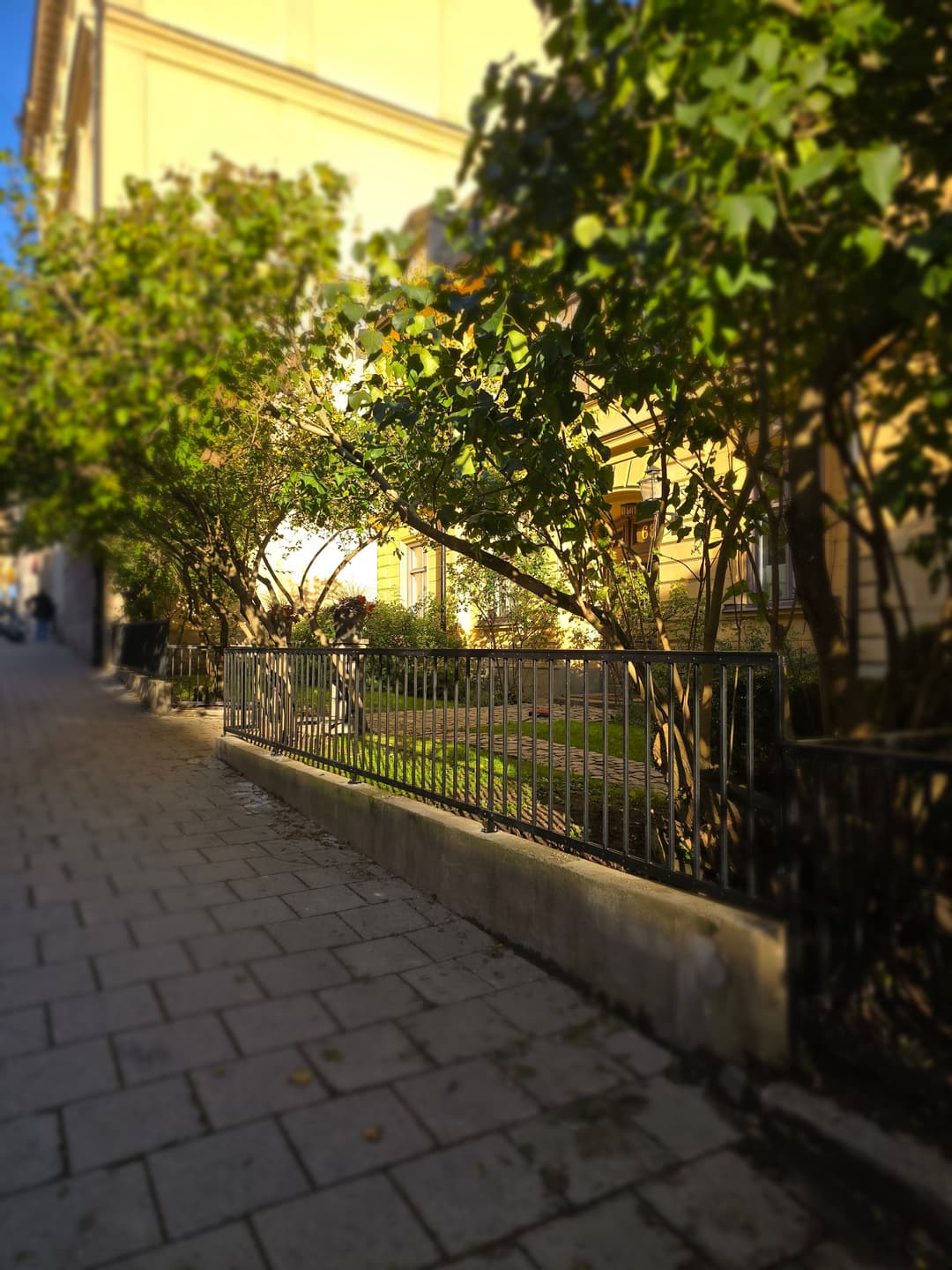 image1